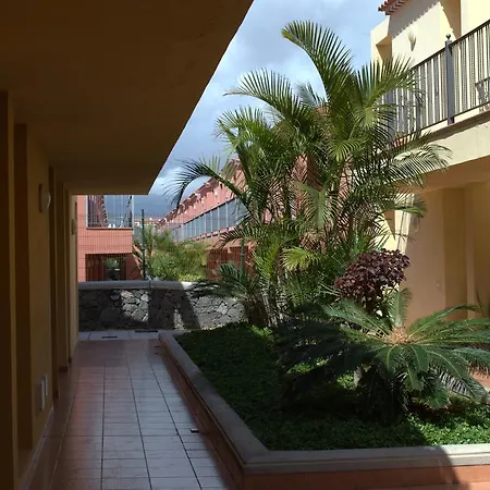 Apartment Atlantico Playa de las Americas (Tenerife)
